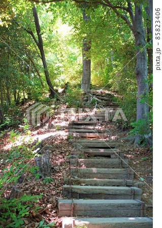 鐘撞堂山　寄居　かねつきどうやま　階段　ふるさとの森　ハイキング　登山　山登り　トレッキング 85823406