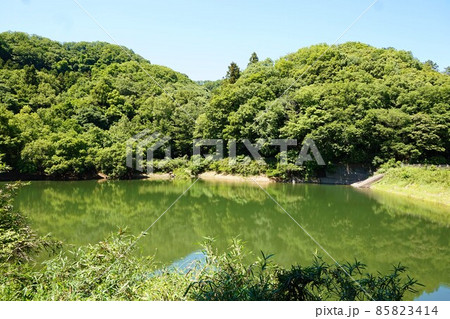 鐘撞堂山　寄居　かねつきどうやま　ふるさとの森　谷津池　ハイキング　登山　山登り　トレッキング 85823414