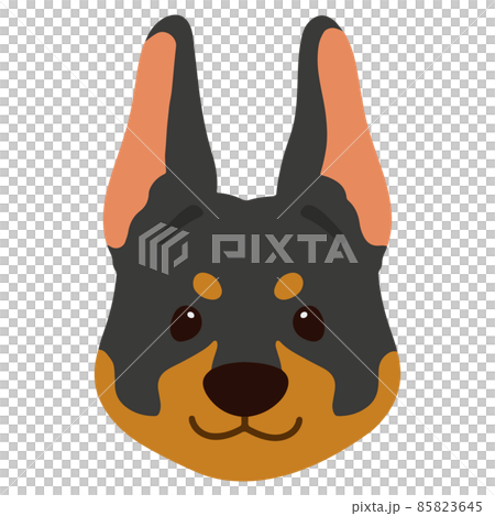 Simple and cute Doberman front face illustration without main line 85823645