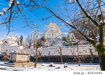 雪の大垣城〈岐阜県大垣市〉 雪の大垣城〈岐阜県大垣市〉 85824495