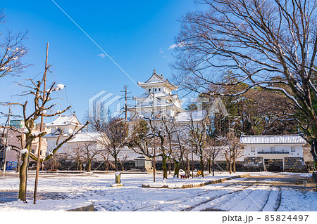 雪の大垣城〈岐阜県大垣市〉 85824497