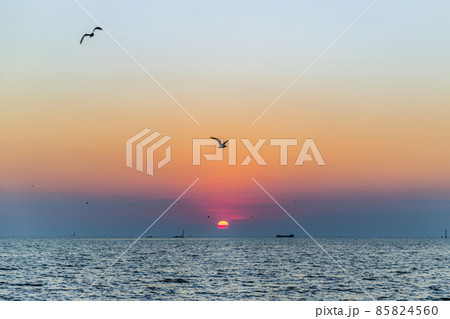 Seagulls flying over the sea on the background of beautiful sunset. Seagulls flying over the sea on the background of beautiful sunset. 85824560