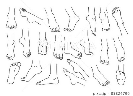 Line feet. Woman ankles and legs with heels and fingers. Beauty or medicine human body infographic elements. Spa skin care and pedicure. Naked foot soles. Vector barefoot sketches set Line feet. Woman ankles and legs with heels and fingers. Beauty or medicine human body infographic elements. Spa skin care and pedicure. Naked foot soles. Vector barefoot sketches set 85824796