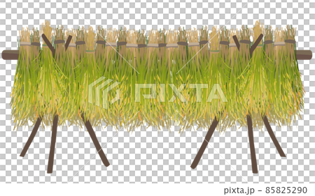 稲木、稲掛け、稲架掛けのベクターイラスト 85825290