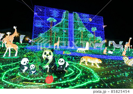【福岡県】おおとうイルミネーション（道の駅　おおとう桜街道） 85825454