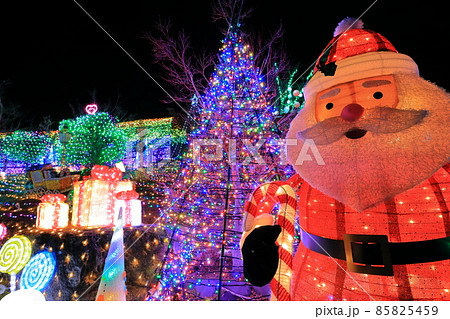 【福岡県】おおとうイルミネーション(道の駅 おおとう桜街道) 【福岡県】おおとうイルミネーション(道の駅 おおとう桜街道) 85825459