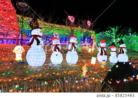【福岡県】おおとうイルミネーション(道の駅 おおとう桜街道) 【福岡県】おおとうイルミネーション(道の駅 おおとう桜街道) 85825463