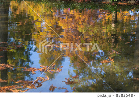 カジュアル 無造作 無頓着 85825487