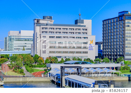 【東京の都市風景】東京国際クルーズターミナルからお台場の街並み 85826157