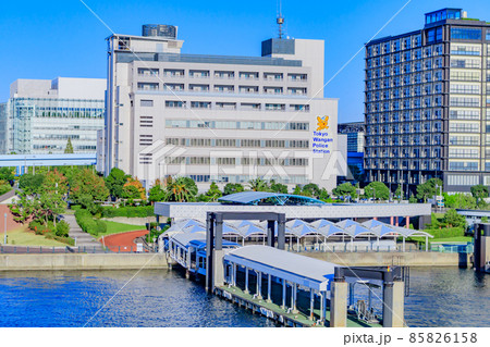 【東京の都市風景】東京国際クルーズターミナルからお台場の街並み 85826158