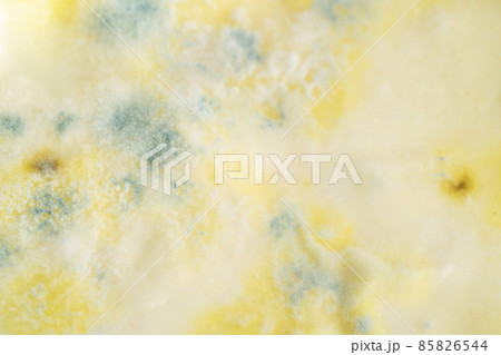 growth of mold on yogurt surface growth of mold on yogurt surface 85826544