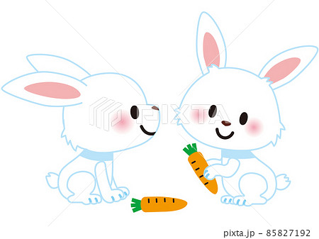 かわいいウサギ 85827192