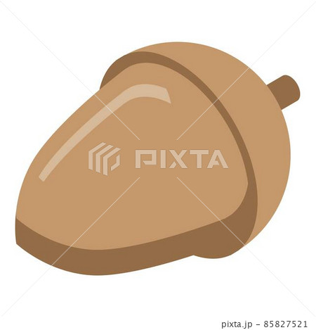 Oak acorn icon, isometric style Oak acorn icon, isometric style 85827521
