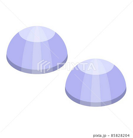 Eye lens icon, isometric style 85828204