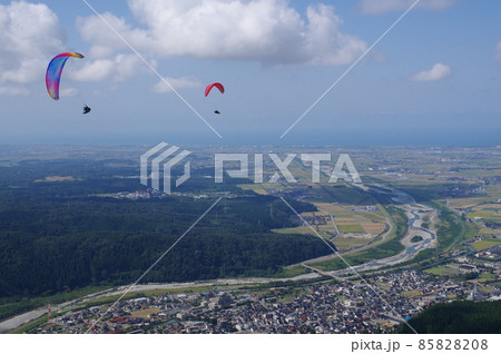 獅子吼高原から飛ぶパラグライダーと手取川扇状地の眺め 獅子吼高原から飛ぶパラグライダーと手取川扇状地の眺め 85828208