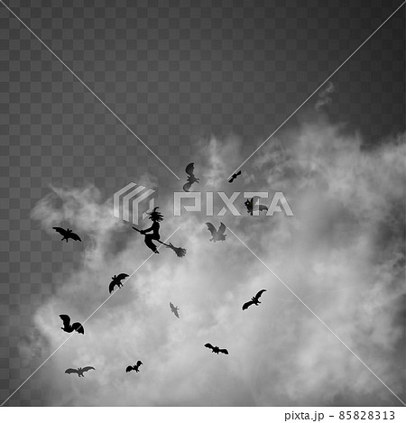 The witch sitting on the broom flyes through clouds up above the gray transparent background. Old 85828313