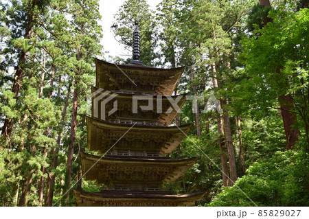 羽黒山五重塔 国宝指定 羽黒山五重塔 国宝指定 85829027