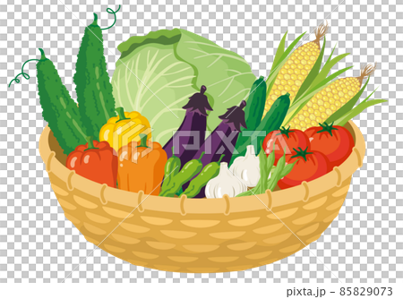 カゴ盛りの野菜_夏野菜 85829073