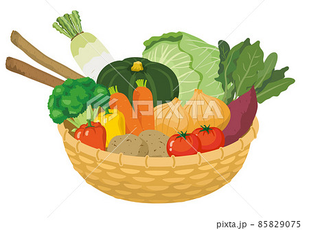 カゴ盛りの野菜 85829075