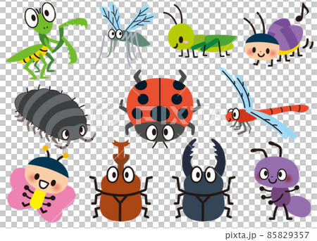 Lots of cute insects 85829357