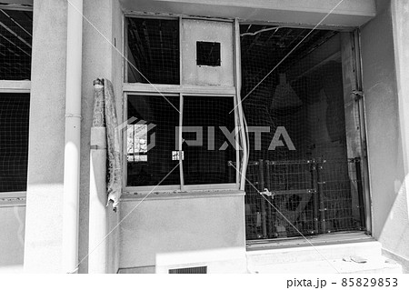 旧大野木場小学校被災校舎　モノクロ　【長崎県島原市】 85829853