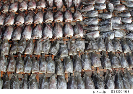 dried trichogaster fish 85830463