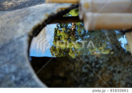 手水舎の水面に映る空と樹木 85830661