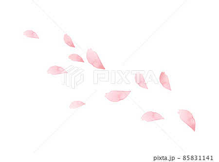 手描き水彩の桜の花びら 手描き水彩の桜の花びら 85831141