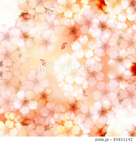 水彩の桜の花　背景イラスト 85831142