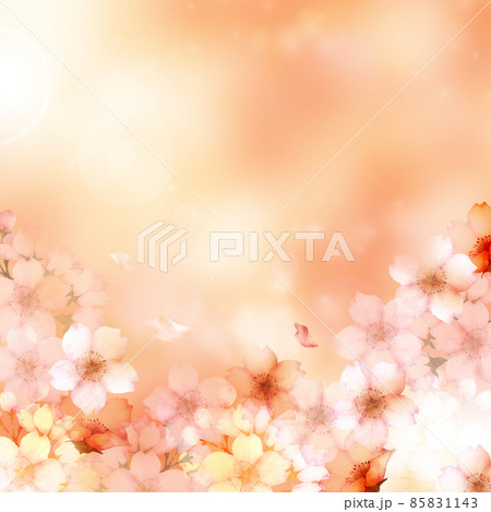 水彩の桜の花　背景イラスト 85831143