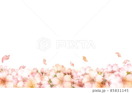 水彩の桜の花のフレーム 85831145