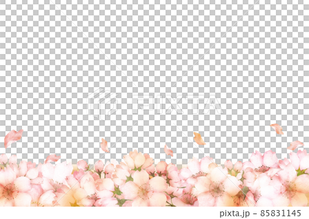 水彩の桜の花のフレーム 85831145