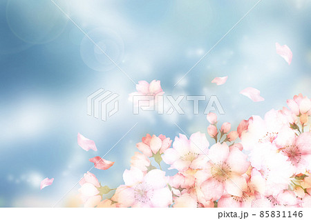 水彩の桜の花　青空背景 85831146