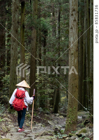 四国八十八ヵ所の巡礼のため山の中にある遍路道を歩いているお遍路さん 85831736