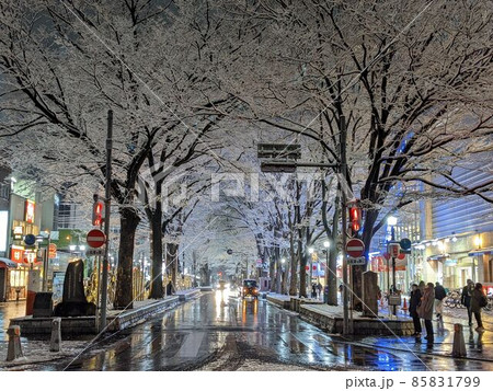 府中市 雪の馬場大門けやき並木通り 85831799