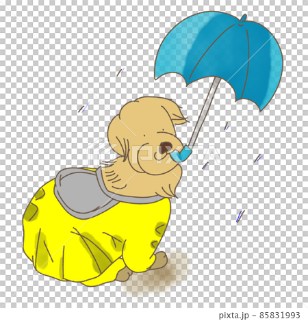 Golden Retriever Umbrella Cartoon Golden Retriever Umbrella Cartoon