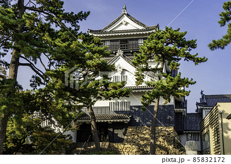岡崎城 天守 愛知県岡崎市 岡崎城 天守 愛知県岡崎市 85832172
