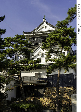 岡崎城 天守 愛知県岡崎市 岡崎城 天守 愛知県岡崎市 85832173