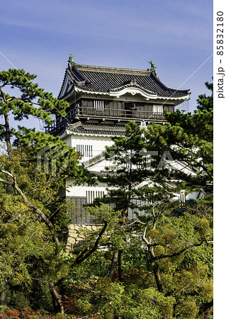 岡崎城　天守　愛知県岡崎市 85832180