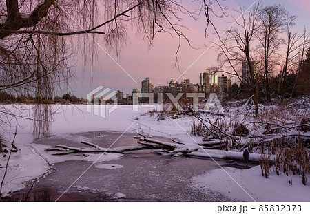 View of Lost Lagoon in famous Stanley Park in a modern city with buildings skyline 85832373