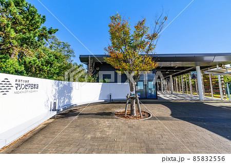 新潟県新潟市　快晴の新潟市水族館マリンピア日本海 85832556