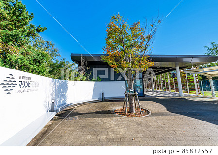 新潟県新潟市　快晴の新潟市水族館マリンピア日本海 85832557