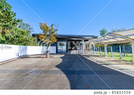 新潟県新潟市　快晴の新潟市水族館マリンピア日本海 85832559