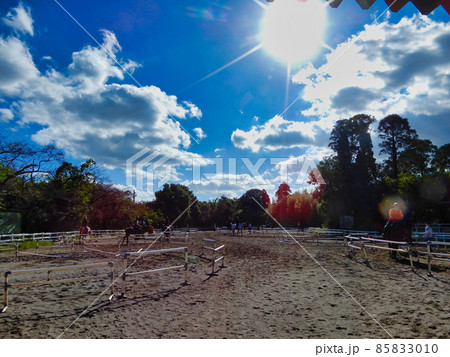 乗馬の馬場の風景 85833010