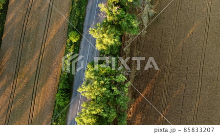 Aerial drone view flight over asphalt road with green trees 85833207