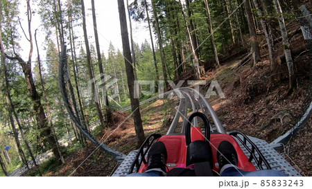 Person rides in fast rodelbahn sledding in mountains in woods among trees 85833243