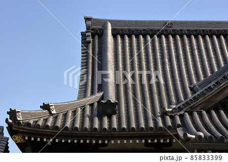 寺院の屋根　(江戸川区 円蔵院) 85833399