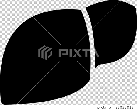 肝臓のシルエットイラスト 肝臓のシルエットイラスト 85833815