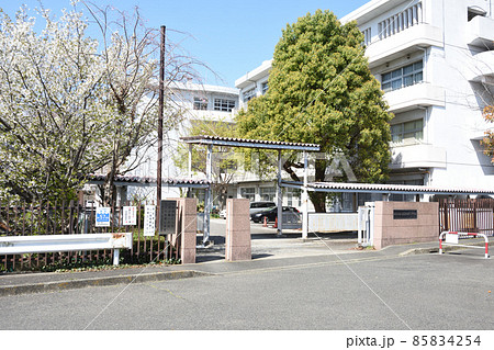 横浜国際高校 85834254