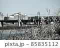寒中散歩風景　輝く枯れすすきと多摩川の流れ、鉄橋を渡る電車と遠くに見えるマンション　東京郊外の風景 85835112